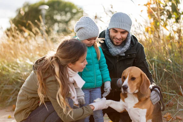 Familia feliz con perro beagle al aire libre en otoño —  Fotos de Stock