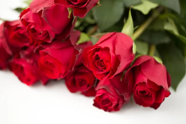붉은 장미 다발의 클로즈업 — 스톡 사진