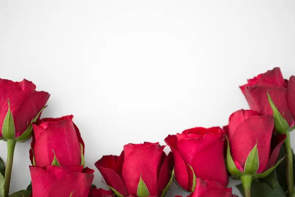 Κοντινό πλάνο από κόκκινα τριαντάφυλλα σε λευκό φόντο — Φωτογραφία Αρχείου
