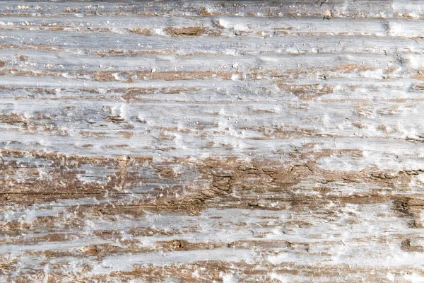Tree bark or wooden surface background — Stock Photo, Image