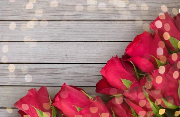 Närbild på röda rosor på vit bakgrund — Stockfoto