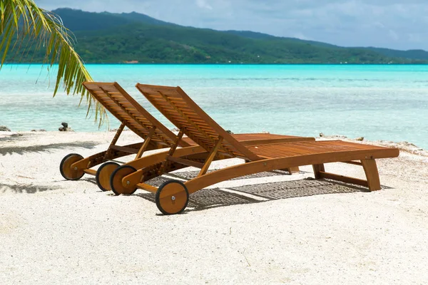 Tropisch strand met een palmboom en ligbedden — Stockfoto