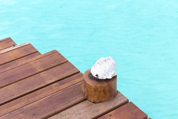 Coquillage sur jetée en bois dans l'eau de mer — Photo