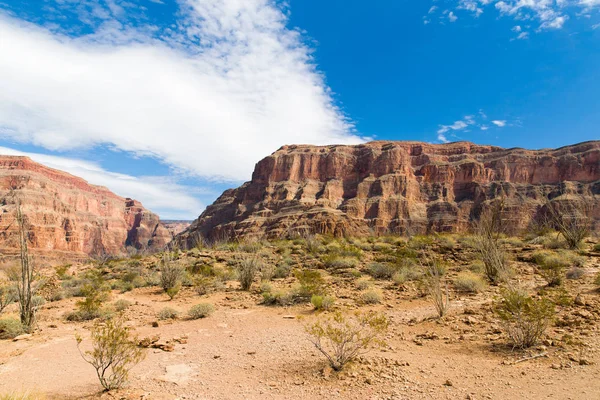 Pohled na grand canyon skály a poušť Royalty Free Stock Obrázky