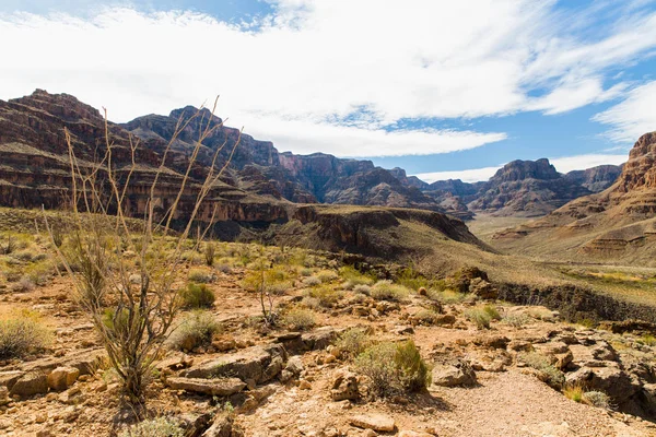 Vista de los acantilados del gran cañón y el desierto —  Fotos de Stock