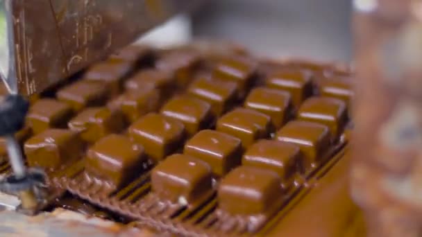 Processamento de doces por máquina de revestimento de chocolate — Vídeo de Stock