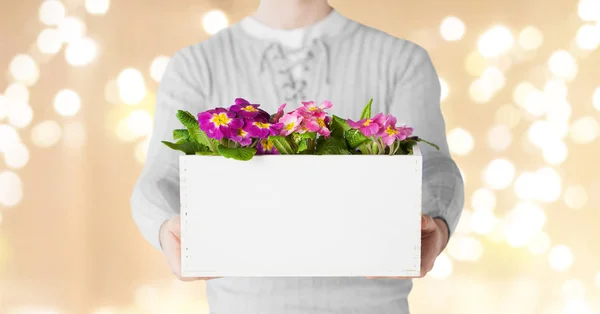 庭の花と箱を持って男のクローズ アップ — ストック写真