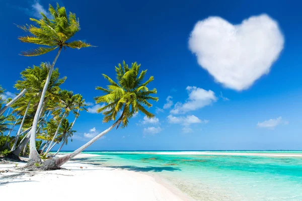 Praia romântica com palmas e nuvem em forma de coração — Fotografia de Stock