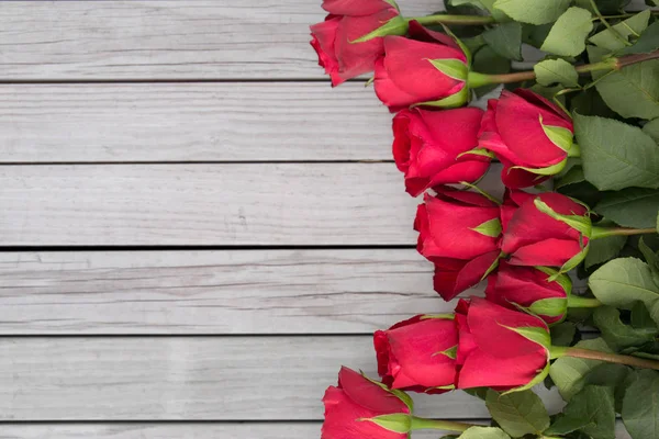 Primer plano de rosas rojas sobre fondo blanco —  Fotos de Stock