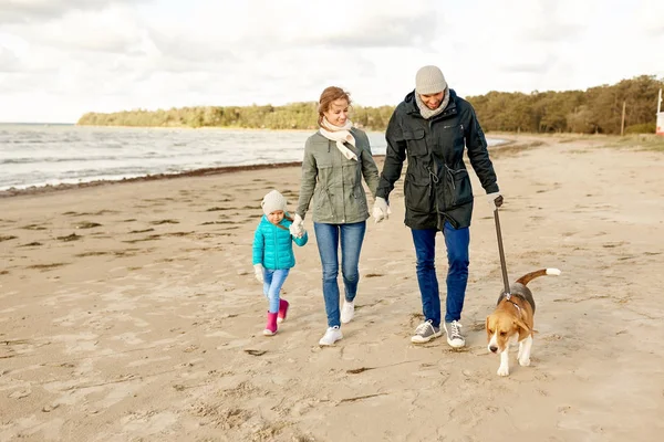 Szczęśliwa rodzina spacery z psem rasy beagle na plaży — Zdjęcie stockowe