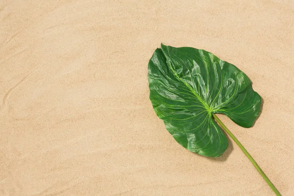 Hoja tropical verde en arena de playa — Foto de Stock