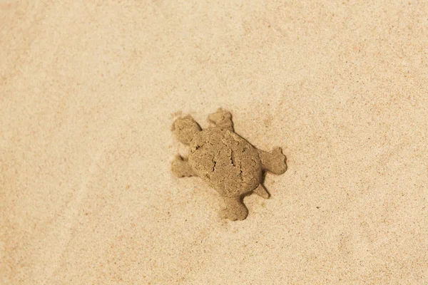 Sand shape made by turtle mold on summer beach — Stock Photo, Image