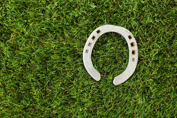 Horseshoe on artificial grass — Stock Photo, Image
