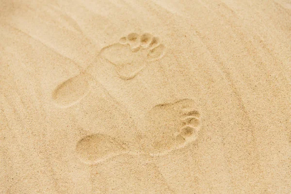 Footprints in sand on summer beach — Stock Photo, Image