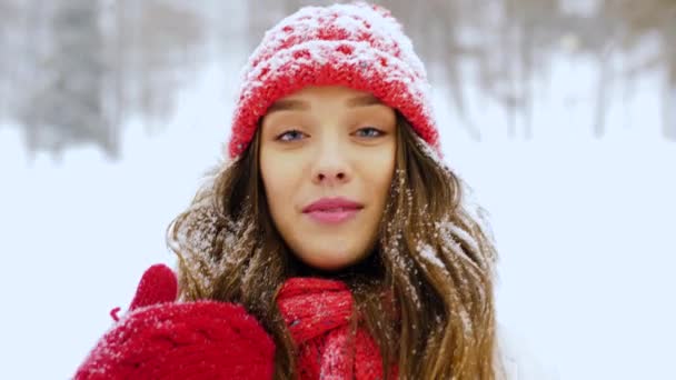 Junge Frau bloggt im Winterwald — Stockvideo