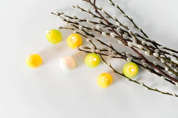 Pussy willow branches and easter egg candles — Stock Photo, Image