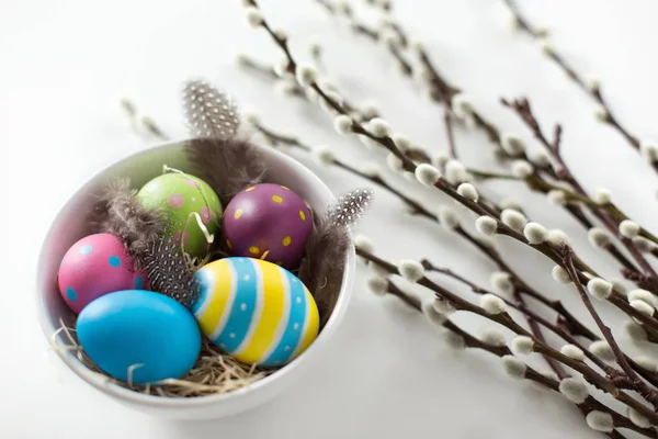Huevos de Pascua de color y ramas de sauce coño — Foto de Stock