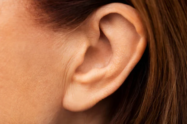 Close-up van senior Woman ear — Stockfoto