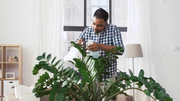 Indischer Mann putzt Zimmerpflanze zu Hause — Stockvideo