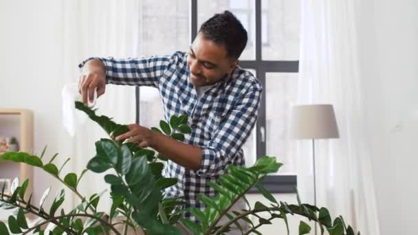 Indian man cleaning houseplants leaves at home — Stock Video