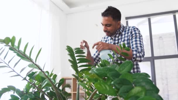 Uomo indiano pulizia pianta d'appartamento a casa — Video Stock