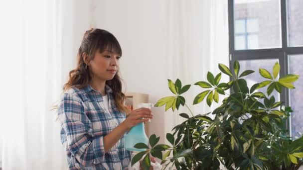 Boldog ázsiai nő takarítás szobanövény otthon — Stock videók