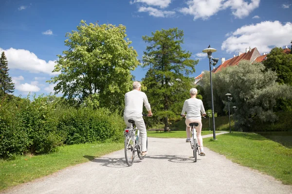 老年夫妇骑自行车在夏天公园 — 图库照片