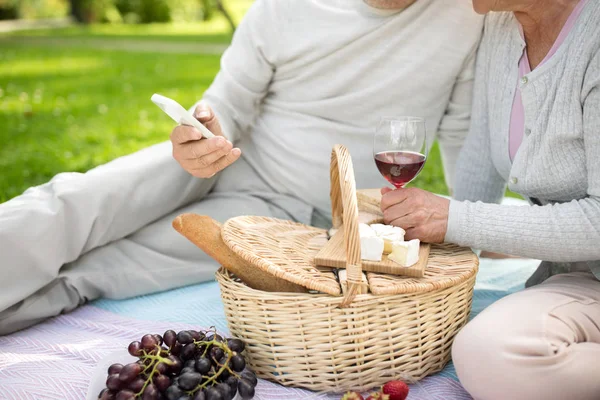 Cuplu senior cu smartphone la picnic în parc — Fotografie, imagine de stoc