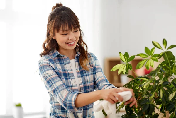 Mulher feliz limpeza houseplant folhas em casa — Fotografia de Stock