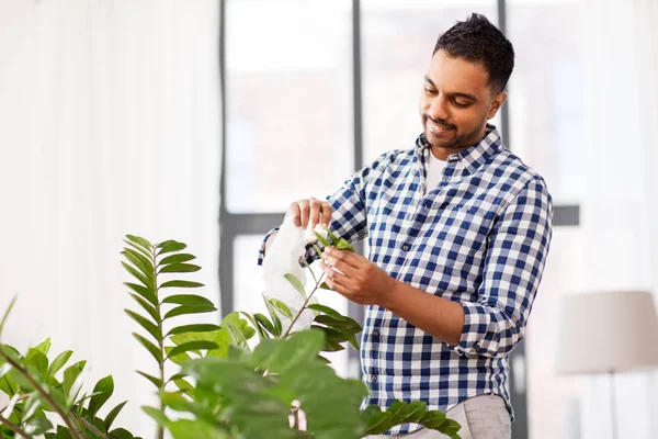 Indien homme nettoyage houseplants feuilles à la maison — Photo