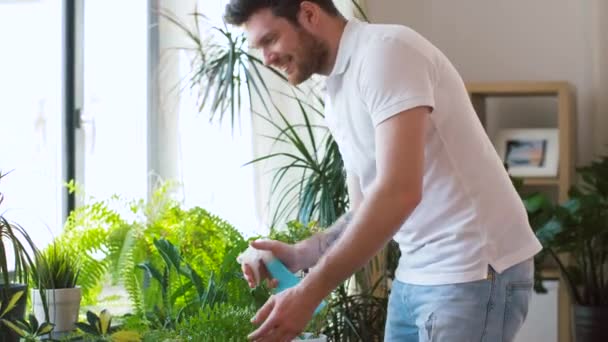 Man besprutning krukväxter med vatten hemma — Stockvideo