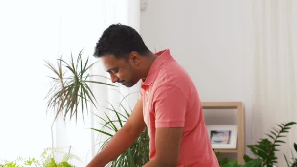 Indian man tar hand om krukväxter hemma — Stockvideo