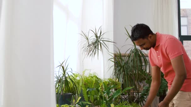 Indyjski człowiek dbanie o rośliny domowe w domu — Wideo stockowe
