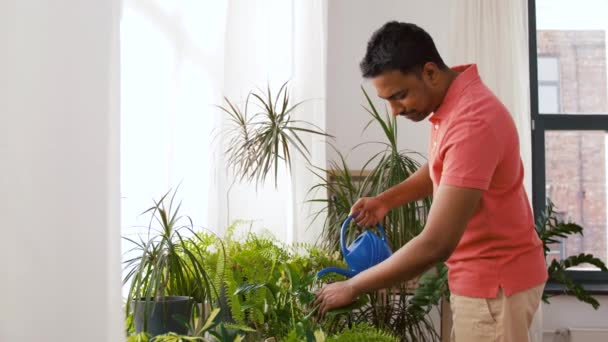 Indianer gießt Zimmerpflanzen zu Hause — Stockvideo