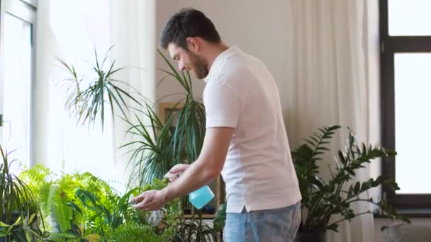 Pria penyemprotan dan pembersihan tanaman rumah di rumah — Stok Video