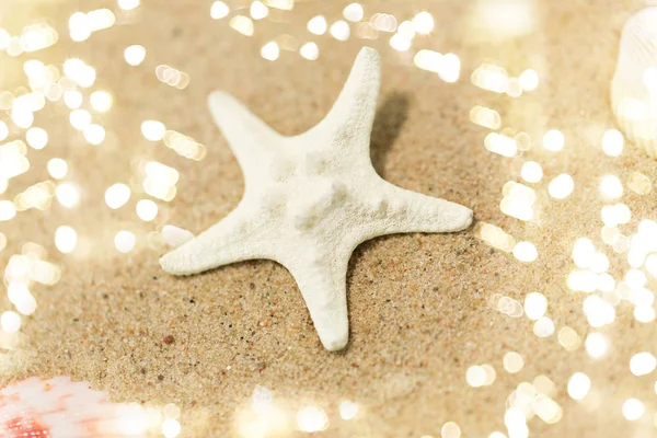 Starfish on beach sand — Stock Photo, Image