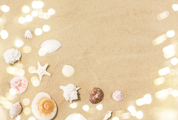 Muscheln auf Sand am Strand lizenzfreie Stockfotos