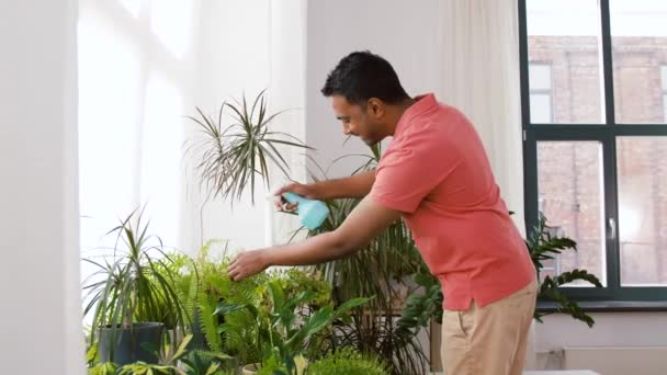 Indianer besprüht Zimmerpflanze zu Hause mit Wasser — Stockvideo