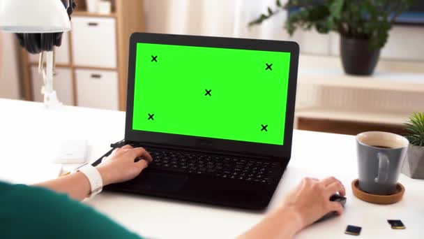 Donna con schermo verde sul computer portatile a casa — Video Stock