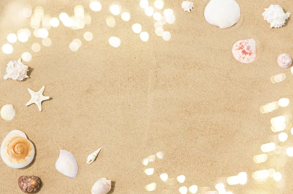 Snäckskal på stranden sand — Stockfoto