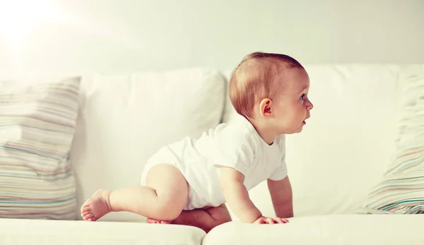 Küçük bebek bezi evde kanepe tarama — Stok fotoğraf