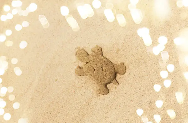 Sand shape made by turtle mold on summer beach — Stock Photo, Image