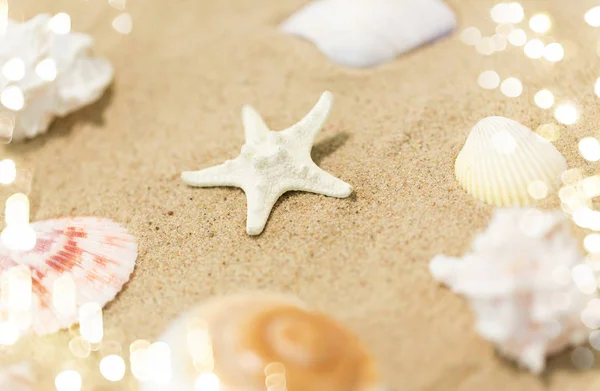 Starfish and seashells on beach sand — Stock Photo, Image