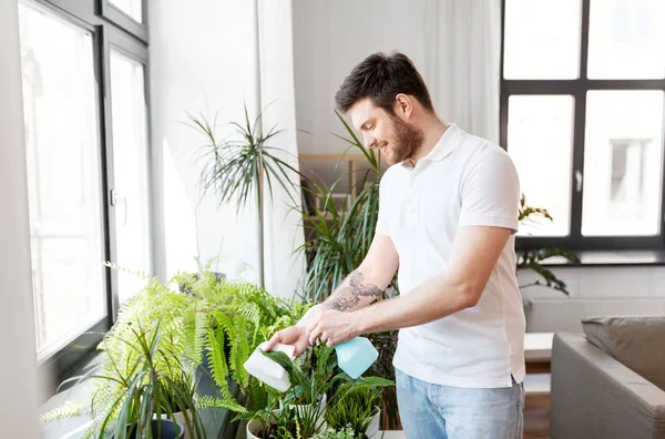 Man besprutning krukväxter med vatten hemma — Stockfoto