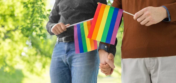 Masculino casal com gay orgulho bandeiras segurando mãos — Fotografia de Stock