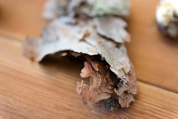 Close up of pine tree bark on wooden background — Stock Photo, Image