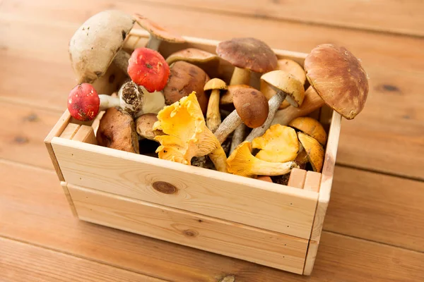 Scatola di legno di diversi funghi commestibili — Foto Stock