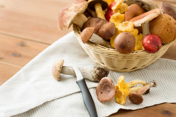 Cesta de diferentes cogumelos comestíveis e faca — Fotografia de Stock