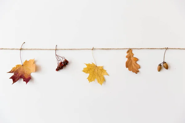 Hojas de otoño, bellotas y rowanberries en cuerda — Foto de Stock
