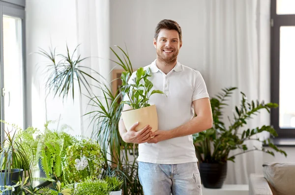 Mann mit Blume pflegt Zimmerpflanzen zu Hause — Stockfoto
